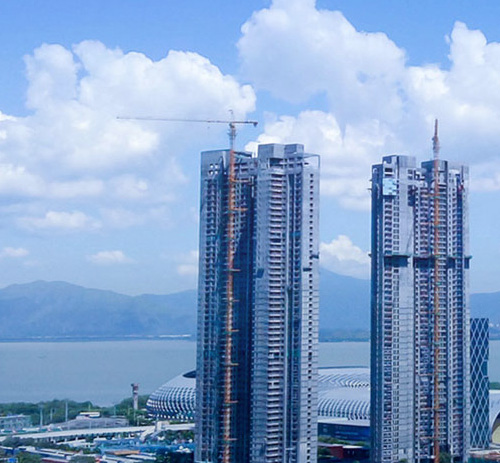 全过程项目管理 